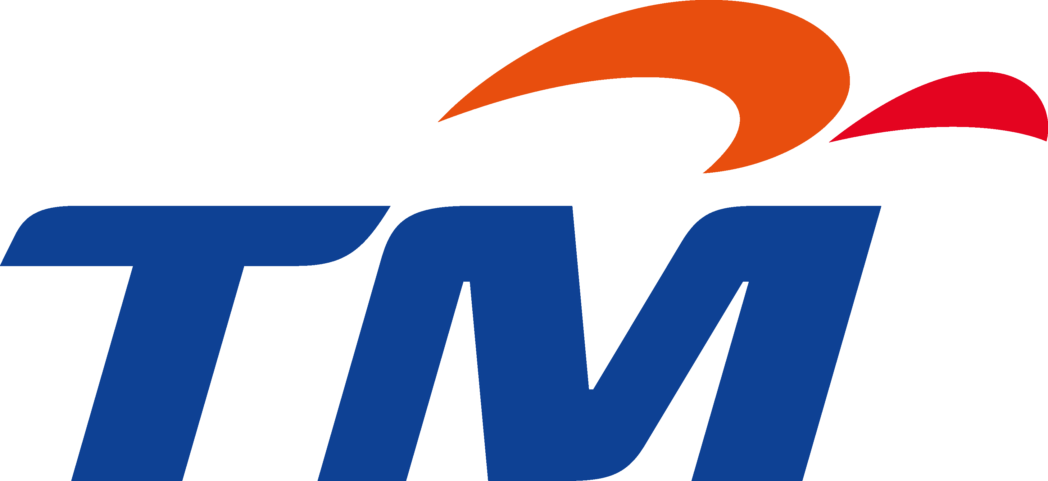 Official logo of TM, trusted client of DotDash Technologies's IT solutions.